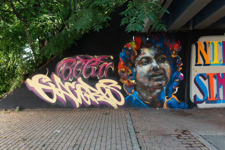 Il murales rappresenta il volto di Berta Caceres. I capelli sono un'esplosione di colori che vanno dal rosso, all'arancione, al blu. Accanto al volto è scritto il suo nome in caratteri cubitali rossi e gialli.