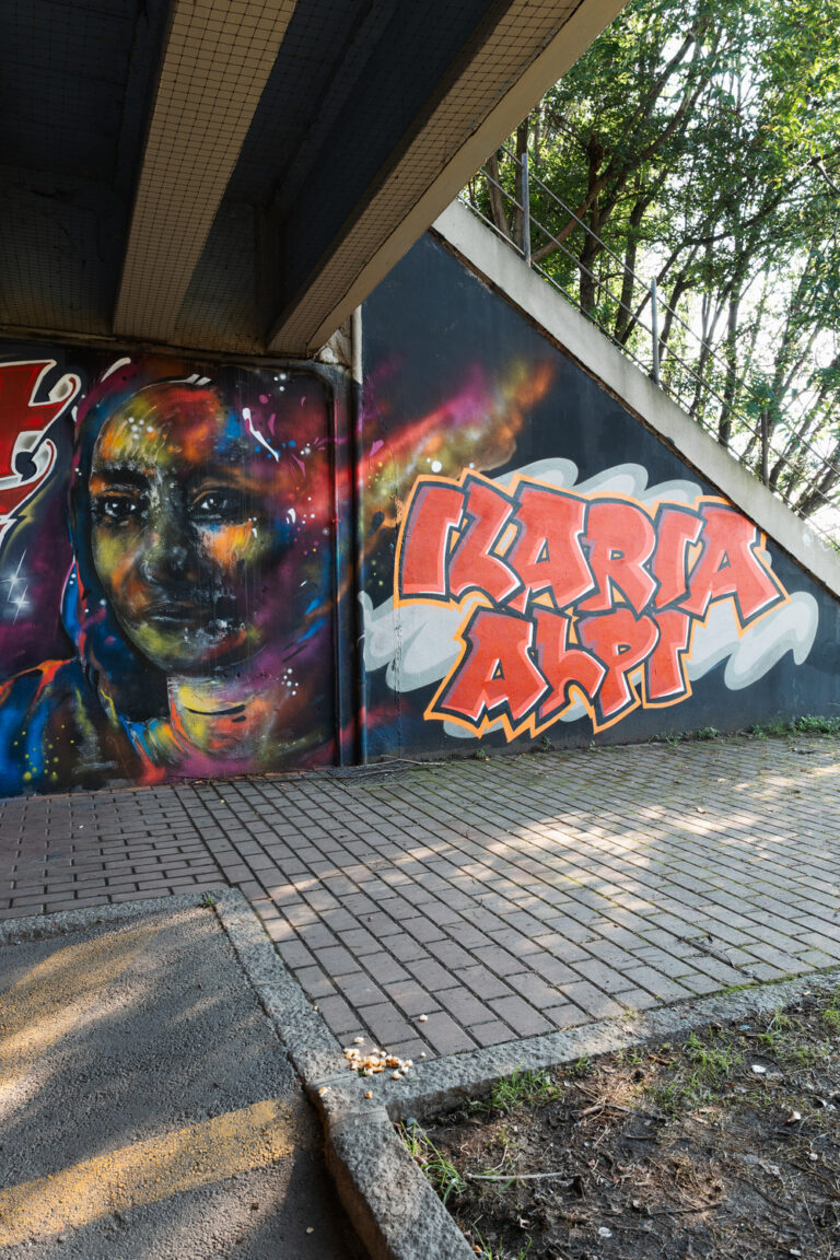 Il murales rappresenta il volto di Ilaria Alpi, colorato di sfumature gialle, arancioni e blu. Accanto al volto è scritto il suo nome in caratteri cubitali rossi.