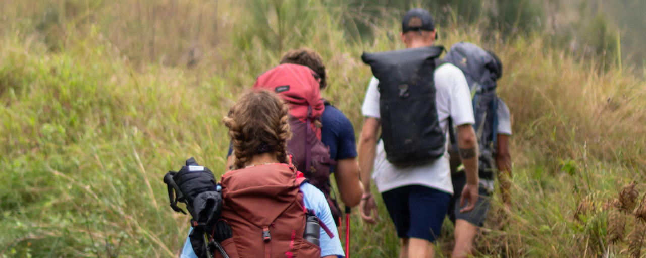 Un gruppo di quattro persone, tre ragazzi e una ragazza, cammina su un sentiero in fila indiana. Indossano abbigliamento tecnico e zaini da escurisione.
