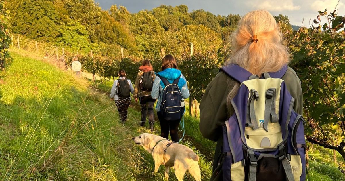 Foto di un gruppo di ragazze in fila indiana su un sentiero erboso. Una di loro tiene al guinzaglio un cane tipo golden retriever a pelo chiaro.