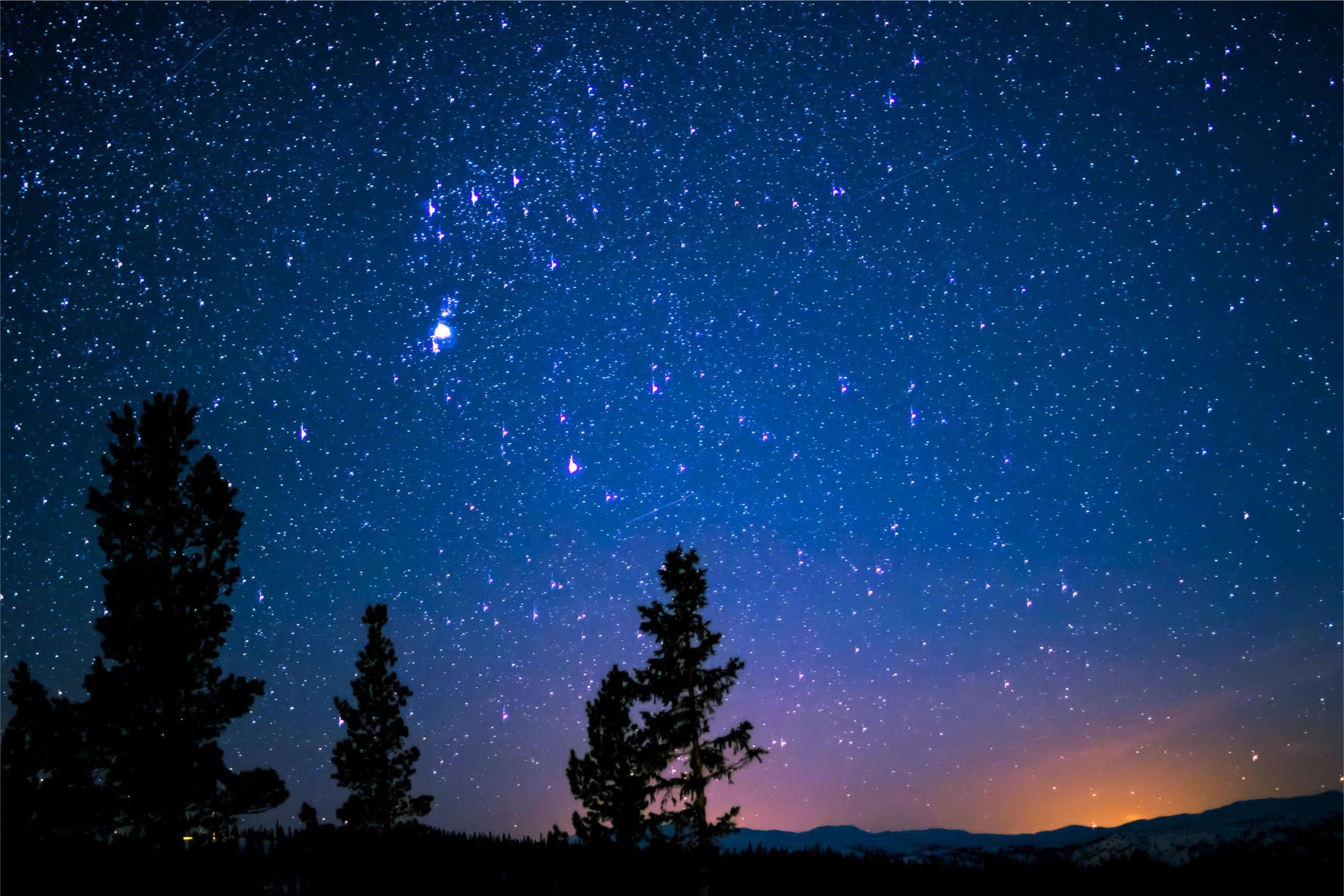 Cielo notturno ricco di stelle sopra un paesaggio montano, con le sagome di alcuni alberi in primo piano. All'orizzonte si intravede una tenue luce arancione, mentre il cielo assume sfumature blu e viola.